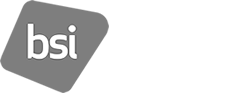 British Standards Institution British Standards Institution